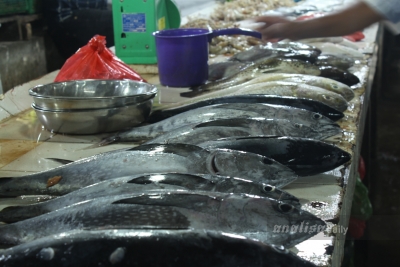 Sejumlah Harga Kebutuhan Pokok Alami Penurunan