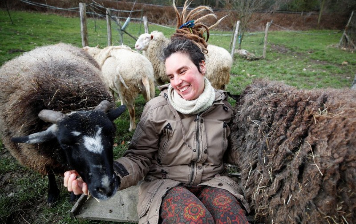 Atasi Kesepian, Peternakan di Jerman Tawarkan Domba untuk Dipeluk