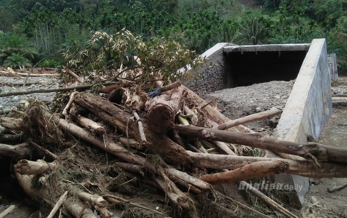 Polres Padanglawas Serius Tangani Dugaan Perambahan Hutan