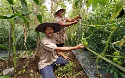 Petani Binaan Berhasil Jalankan Program Tumpangsari