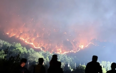 Kebakaran Hutan di China, 2 Orang Tewas dan 6 Luka