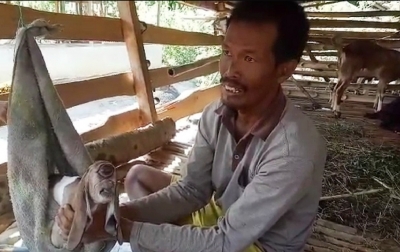 Kambing Mata Satu Lahir di Simalungun