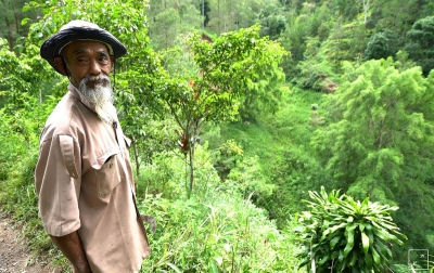 Sempat Dianggap Gila, Sadiman Berhasil Hijaukan Bukit Tandus