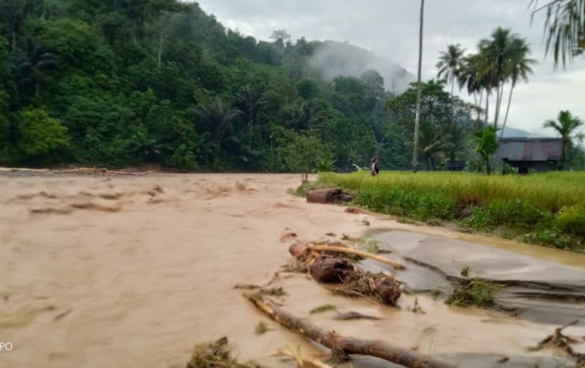 Polres Palas Periksa Kades Sianggunan