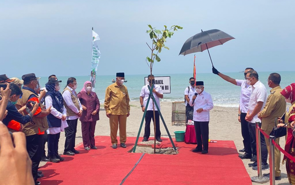 Mitigasi Dampak Tsunami, Wapres Ma’Ruf Tanam Pohon