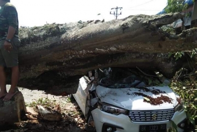 Sebuah Mobil Tertimpa Pohon Saat Melintas