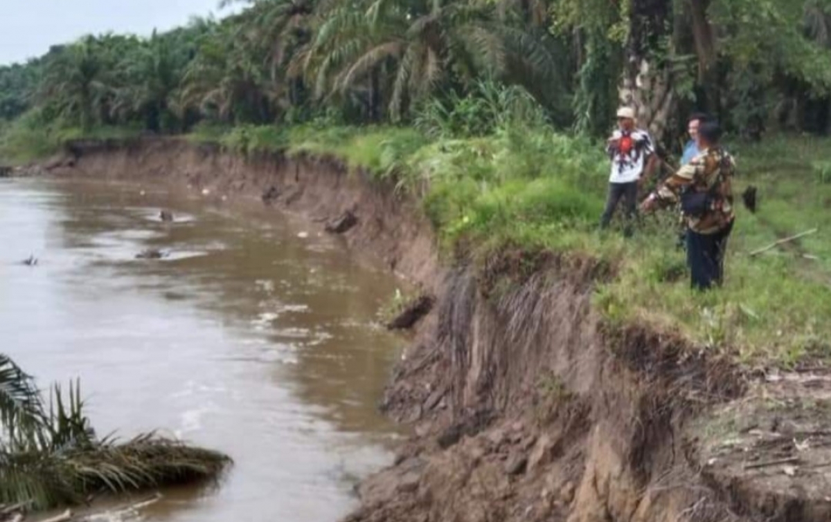 Tebing Sungai Barumun Terkikis, Jalan Barakas Nyaris Putus