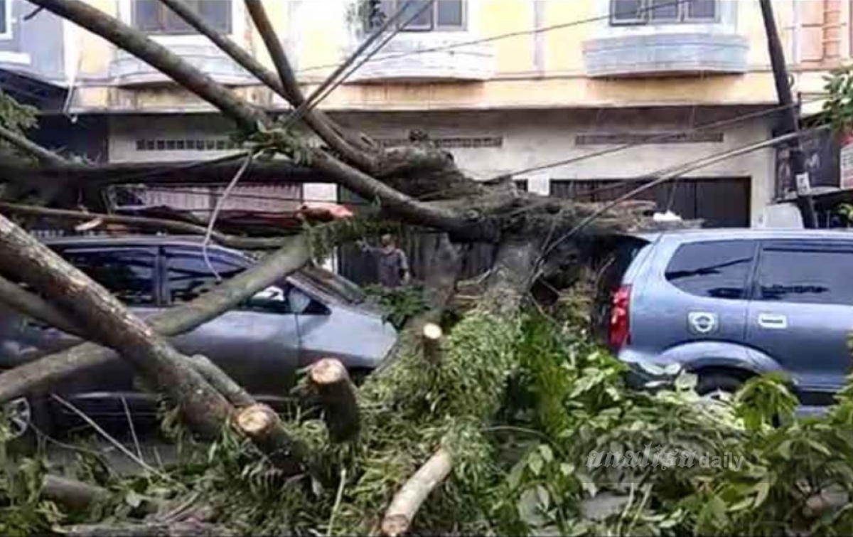 Seorang TKA Tewas Tertimpa Pohon di Batangtoru