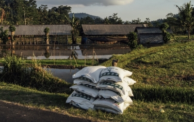 Tidak Langka, Distribusi Pupuk di Sumut Berjalan Lancar