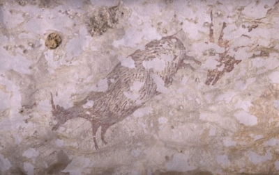 Lukisan Berusia 44.000 Tahun di Sulawesi Selatan Mulai Rusak