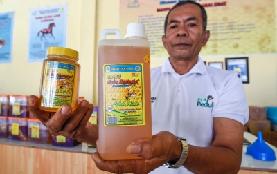 PLN Dorong Kebangkitan UMKM di Masa Pandemi Covid-19