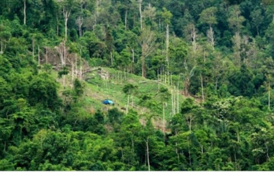 Kesadaran Tentang Lingkungan Hidup Perlu Ditingkatkan