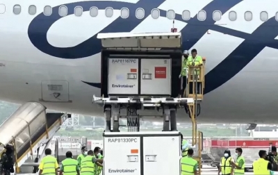 Lagi, Indonesia Terima 10 Juta Bulk Vaksin Covid-19 Sinovac