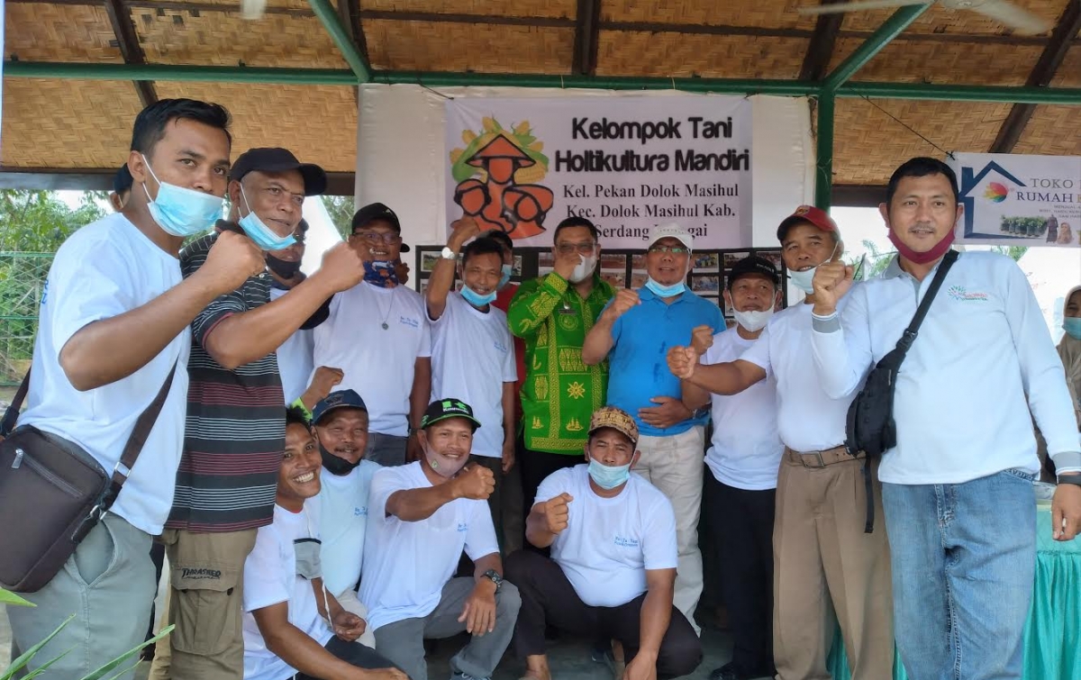 Poktan Mandiri Dolokmasihul Dukung Pelestarian Kelapa Pandan Wangi