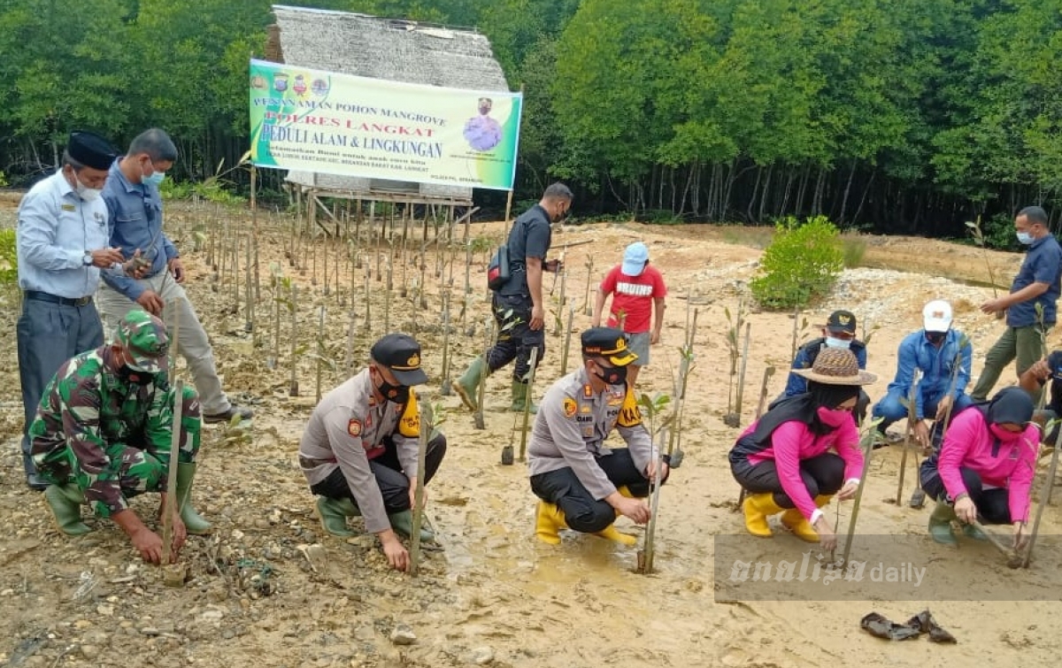 Jaga Ekosistem Laut dengan Menanam Mangrove