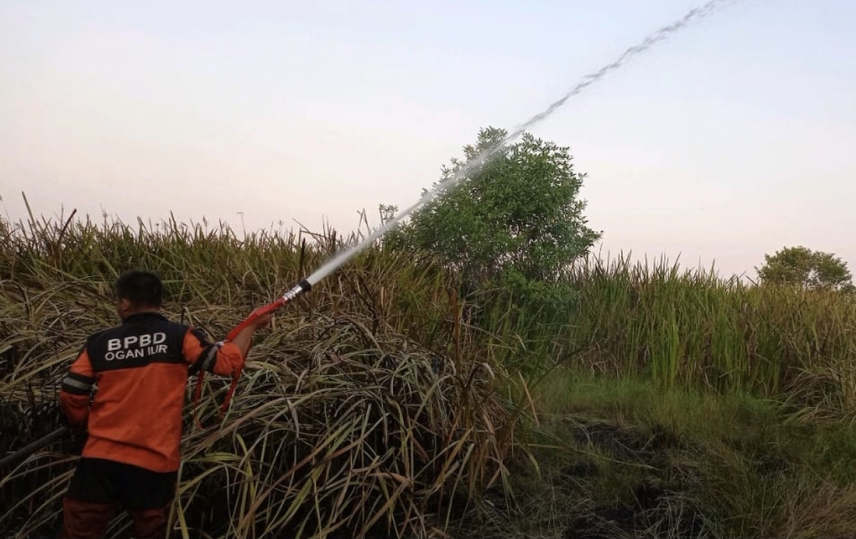 Satgas Gabungan Ogan Ilir Padamkan 7 Hektare Lahan Terbakar