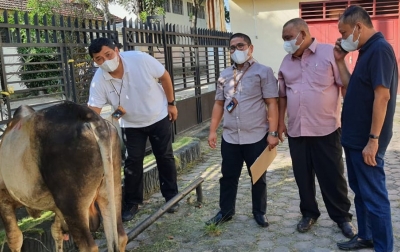 PWI Sumut Sembelih 5 Ekor Lembu dan 4 Kambing