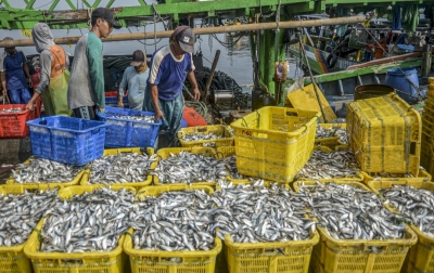 Peningkatan Produksi Perikanan Jangan Hanya untuk Ekspor
