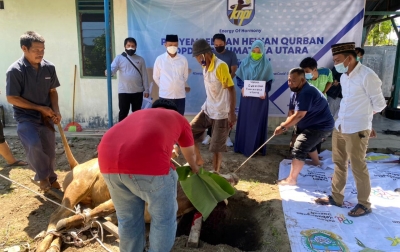 KNPI Sumut Sembelih Hewan Kurban Gubsu dan Wali Kota Medan