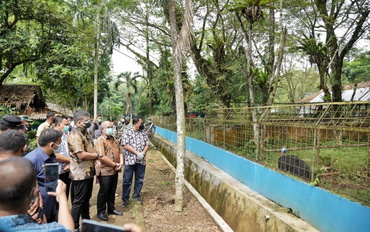 Bantu Medan Zoo Rp 300 Juta, Bobby Nasution Apresiasi PT Musim Mas