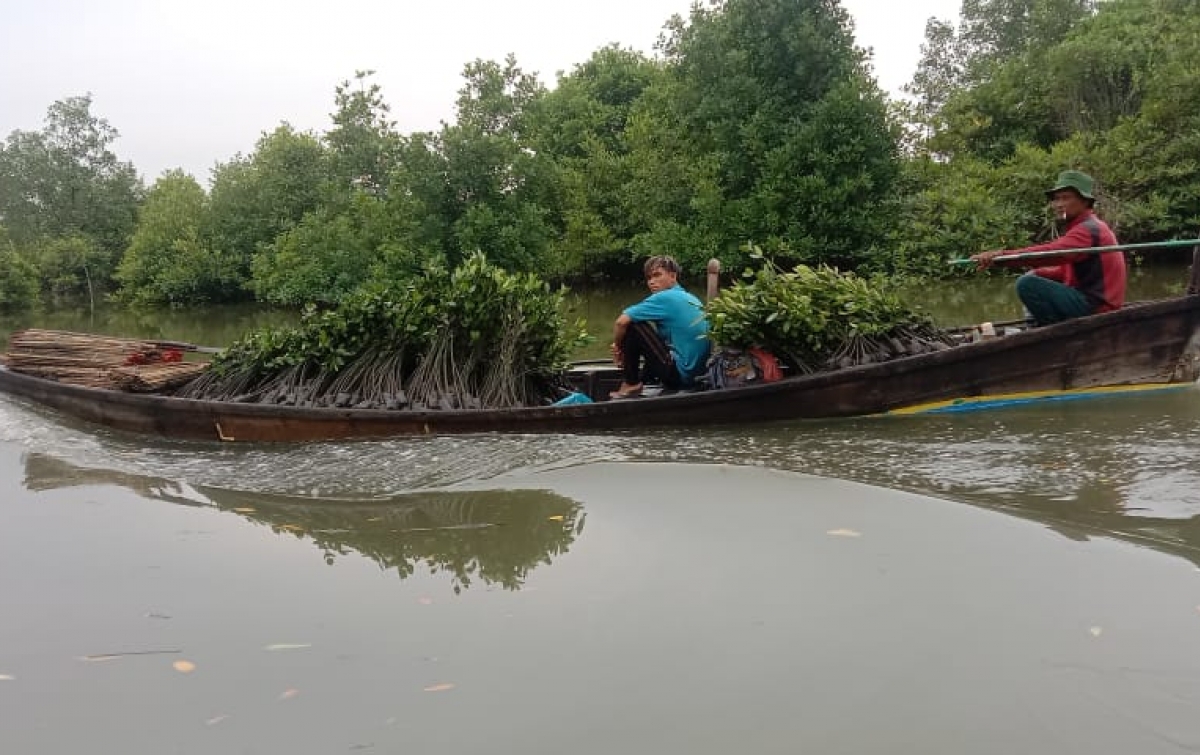 Restorasi Gambut dan Rehabilitasi Mangrove Libatkan Masyarakat Secara Langsung