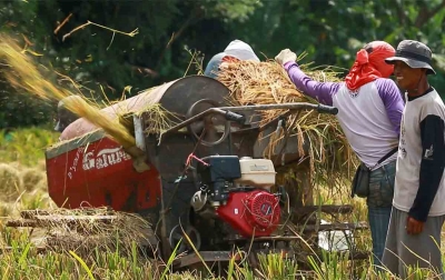 Kredit Pertanian BRI Tembus Rp117,54 Triliun, Pembiayaan Rice Mill Jangkau Lebih dari 40 Ribu Nasabah