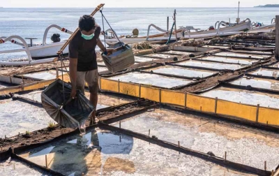 25,4 juta Pelaku UMKM Dapatkan Kucuran KUR BRI Senilai Rp 559,6 triliun Sejak Tahun 2015