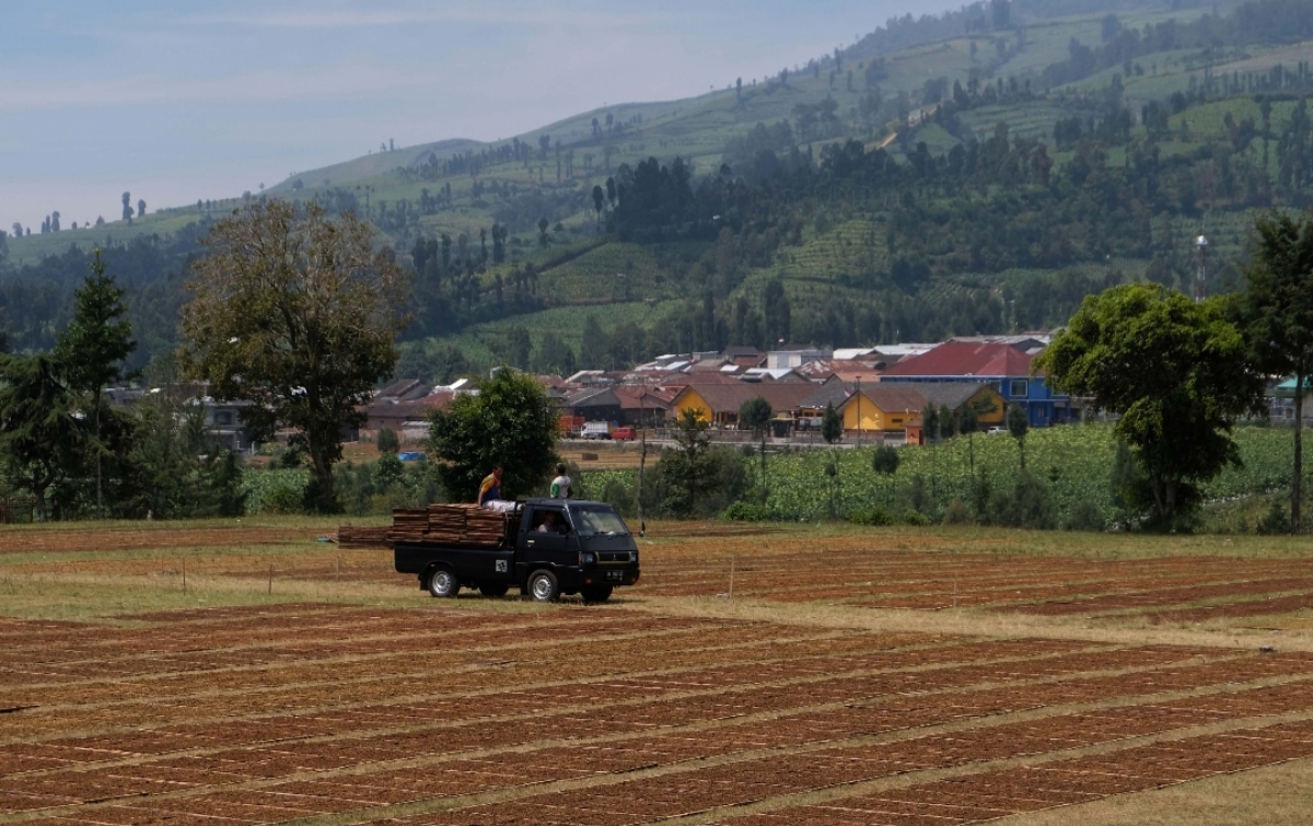 Kredit Usaha Rakyat Diharap Bisa Bantu Petani