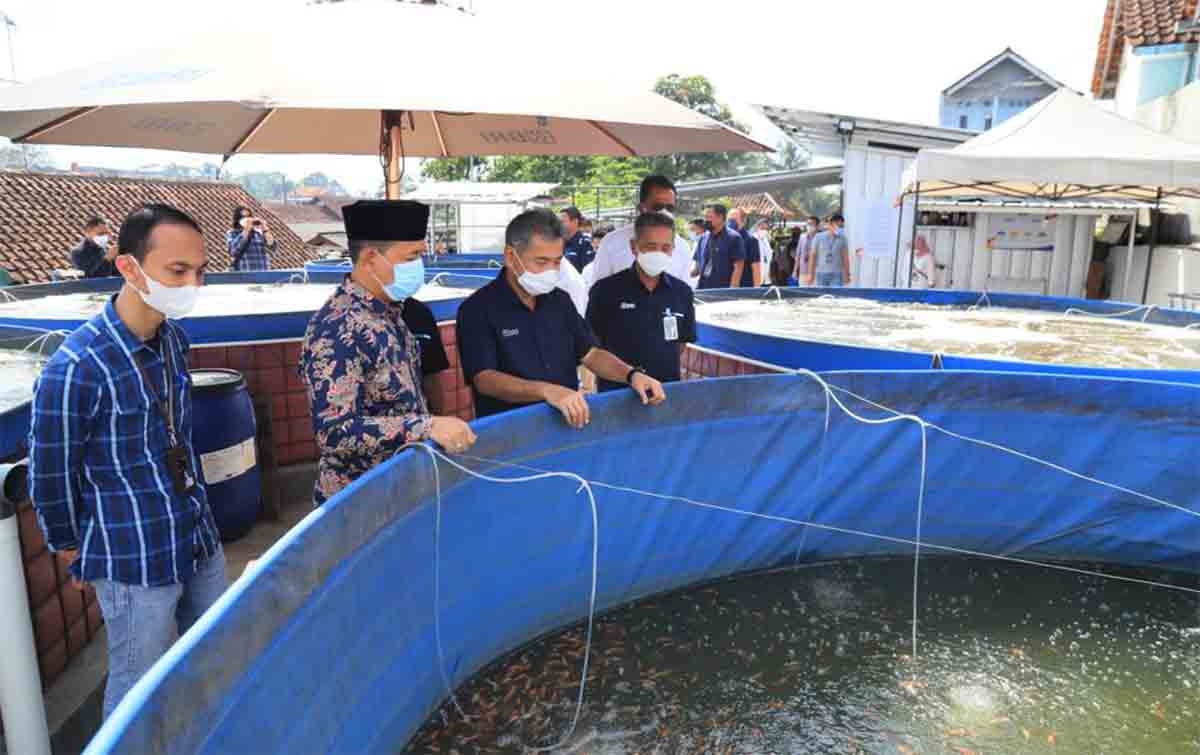 Perkuat Ketahanan Ekonomi Masyarakat, BRI Dorong Pemberdayaan Ekosistem ...