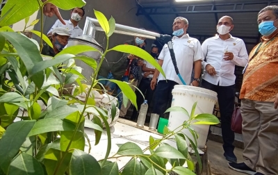 Pertumbuhan Eukaliptus Menunjang Ketersediaan Air di Kawasan Danau Toba