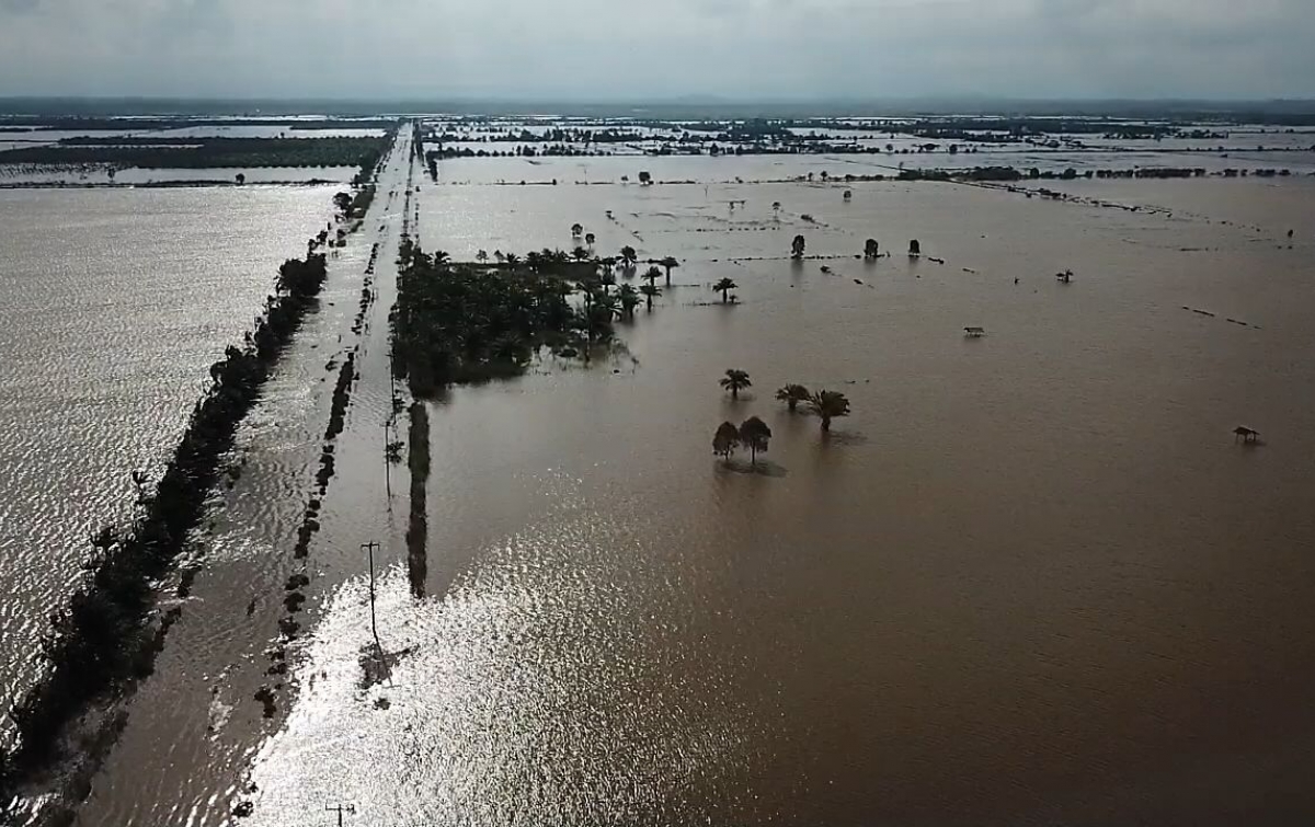 1 Jembatan Rusak Akibat Banjir di Kabupaten Penajam Paser Utara
