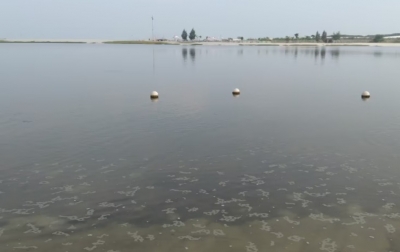 Air Laut Teluk Jakarta Mengandung Paracetamol