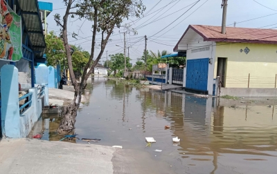 Ribuan Rumah Warga di Belawan Terendam Banjir Rob