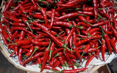 Kenaikan Harga Cabai Merah Efek Faktor Cuaca