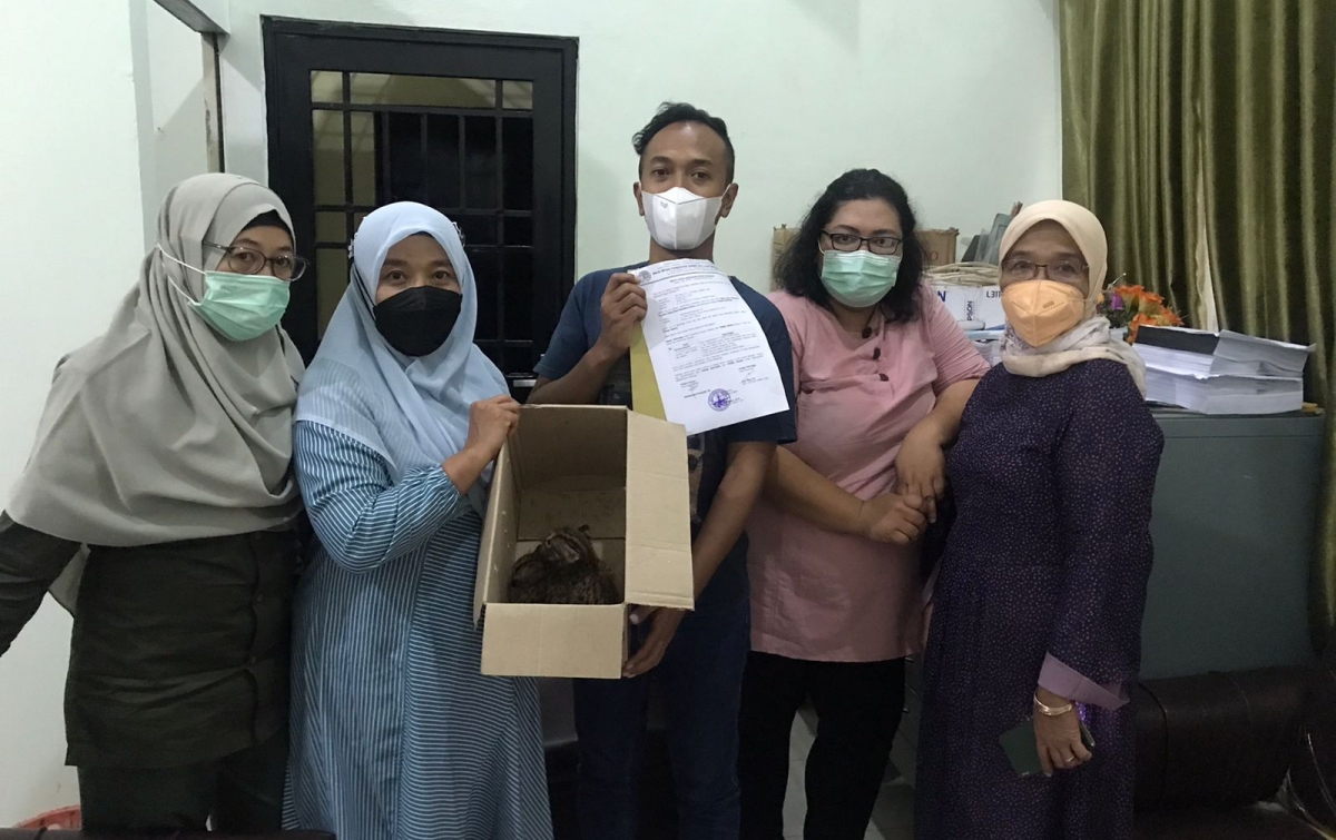 Warga Medan Johor Serahkan Satwa Dilindungi Kucing Kuwuk ke BKSDA Sumut
