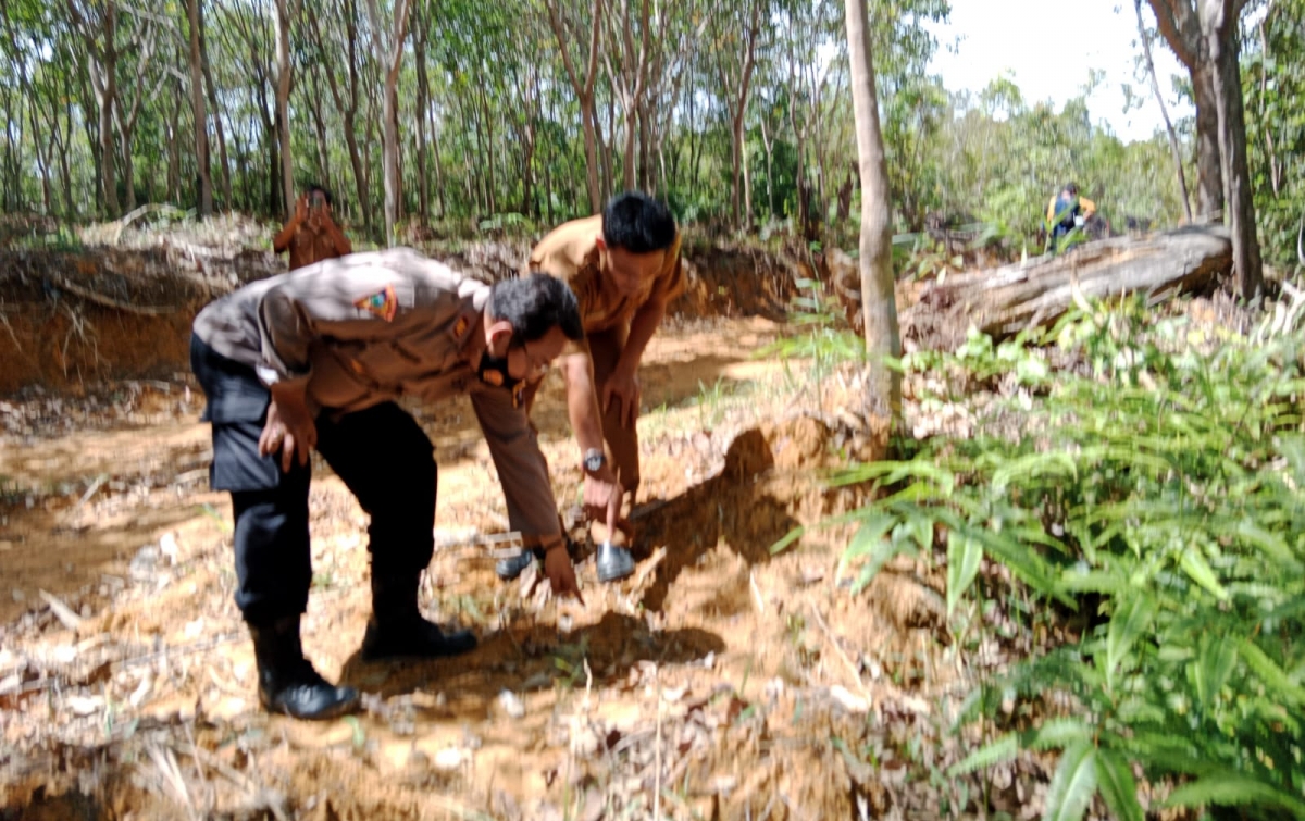 Pasca Ditemukannya Jejak Kaki Anak Harimau Sumatera, BBKSDA Terus Patroli