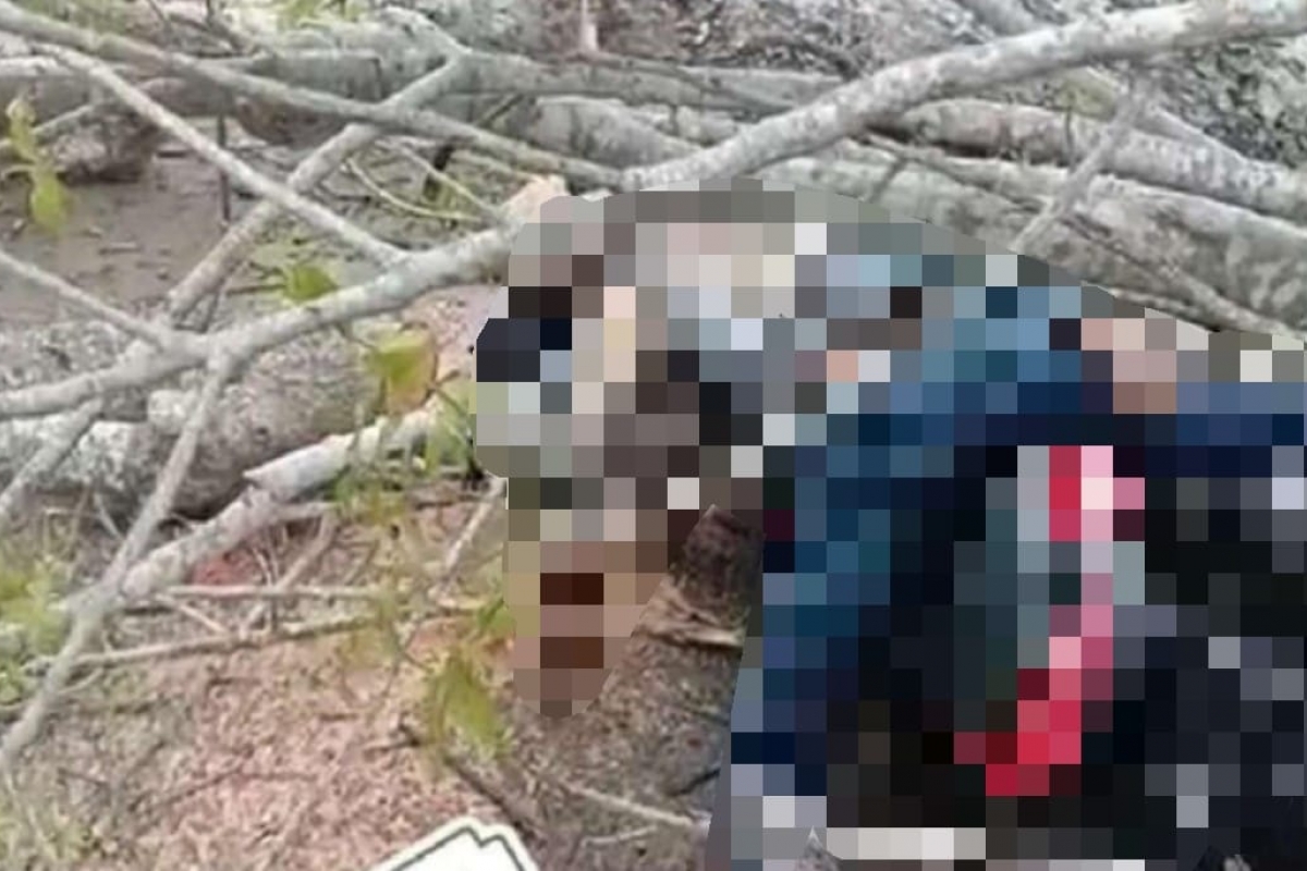 Cuaca Buruk, Pengendara Motor Tewas Tertimpa Pohon