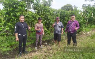 Petani Nagori Bunga Sappang Keluhkan Anjloknya Harga Jeruk