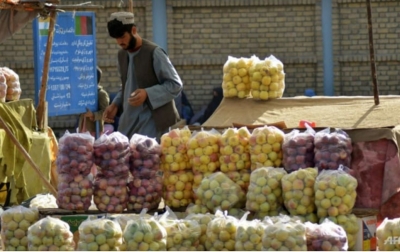 Krisis Pangan Afganistan, Taliban: Warisan Pemerintah Sebelumnya