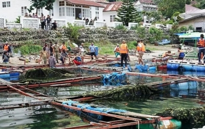 Keseimbangan Ekosistem dan Ekonomi, KJA di Danau Toba Perlu Diatur