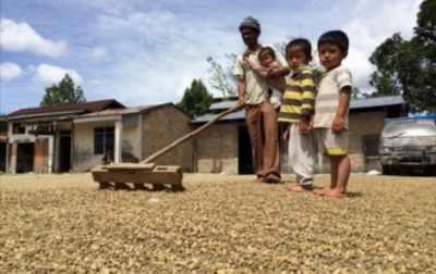 Nilai Ekspor Kopi dari Sumatera Utara Rp 3,1 Triliun