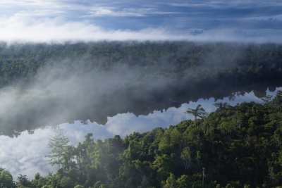 Tingkatkan Potensi Komoditas, Pantau Gambut Siapkan Fitur 'Peatland Commodities Business Hub'