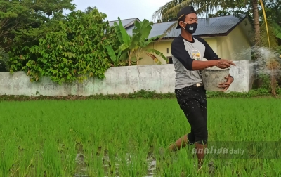 Tingkatkan Hasil Produksi, Petani Muda Harus Paham Mengelola Padi