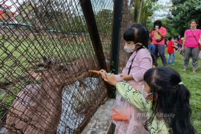 Vaksinasi Anak 11 Tahun ke Bawah Tunggu Instruksi Pusat