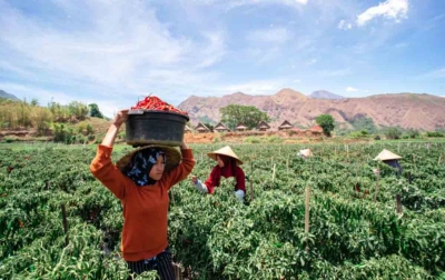 Manfaat KUR, Pacu UMKM di Masa Pandemi