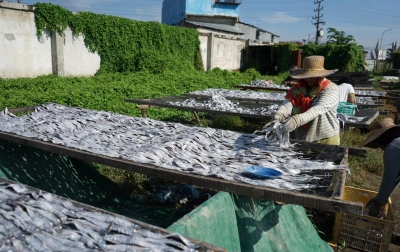 Kolaborasi PLN-USU, Berikan Bantuan Alat Pengering Ikan Berbasis Listrik