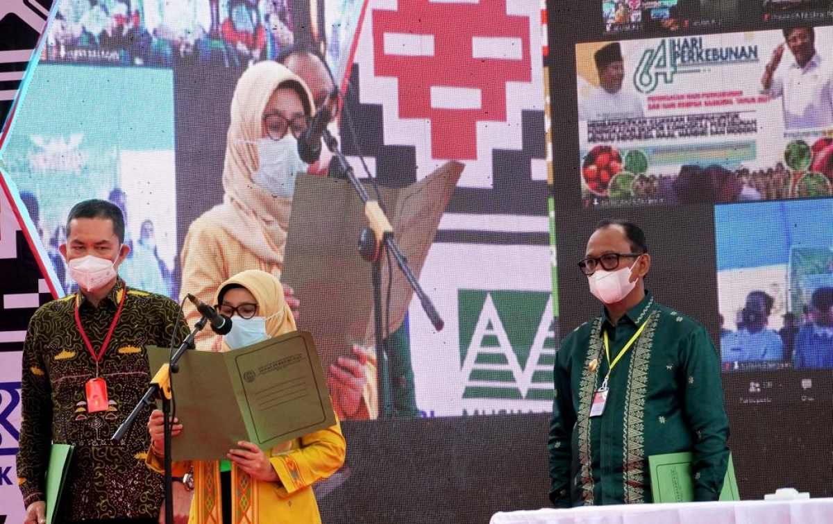 Pemprov Sumut Terus Perjuangkan  DBH Hasil Perkebunan Hingga 60%