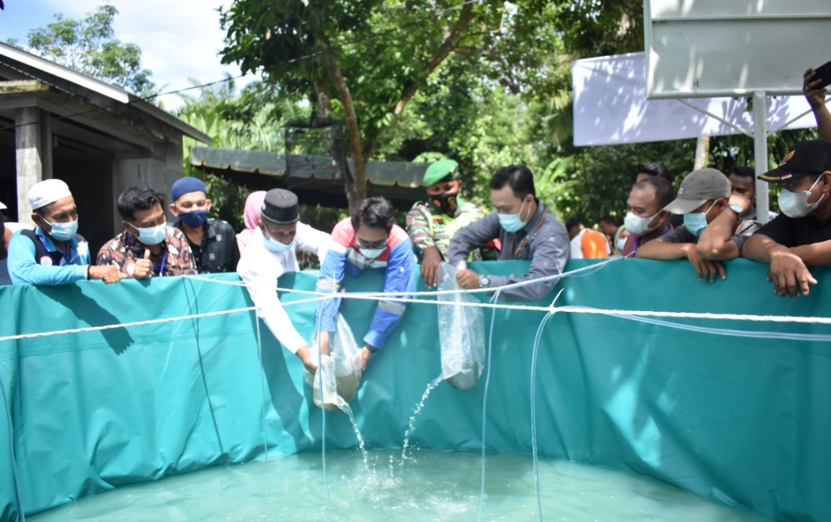 Sub Holding Gas Pertamina Dampingi Masyarakat Budidayakan Ikan Lele