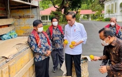 Presiden Terima Tiga Ton Jeruk yang Dikirim Warga Karo