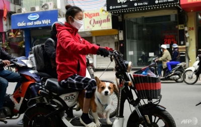 Kota Wisata di Vietnam Hentikan Penjualan Daging Anjing dan Kucing